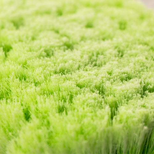 Premium Soft Wash Brush - AC_103_1