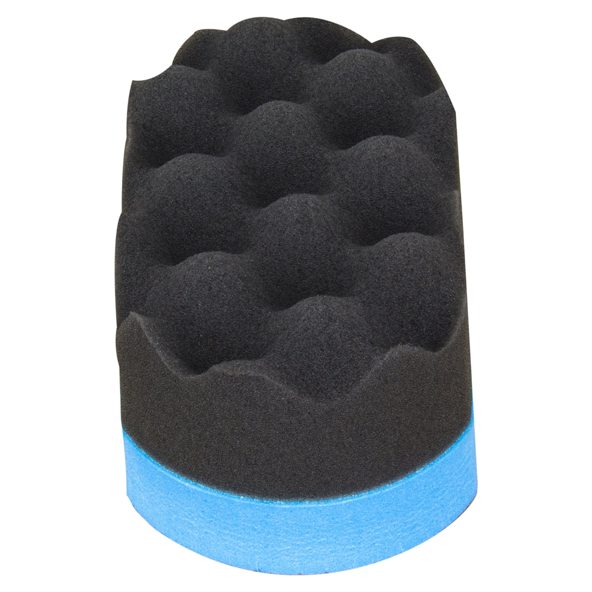 PROFESSIONAL GRIP SOFT FOAM APPLICATOR (BLUE) - AC_119_1